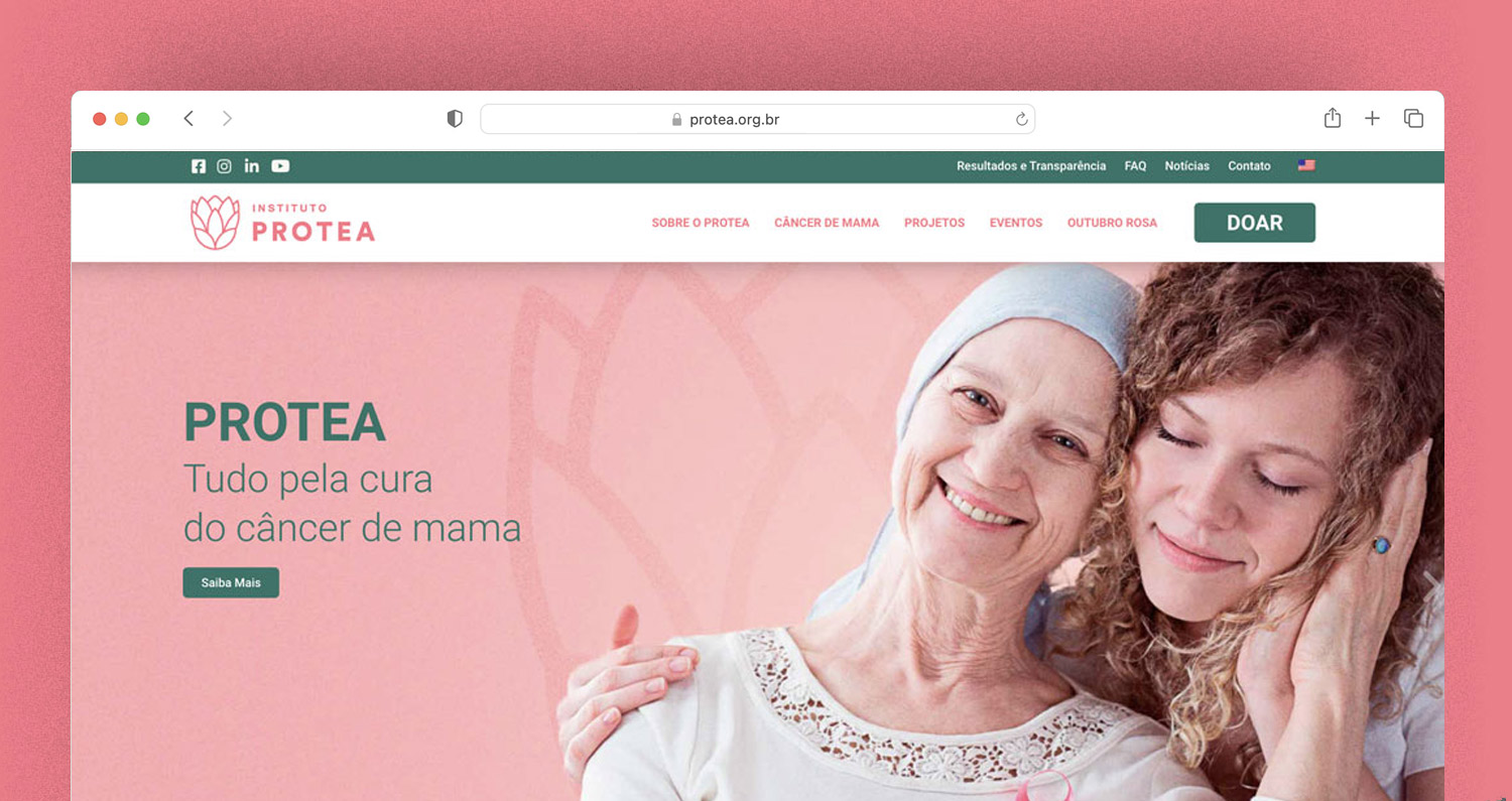 site protea por studio baleia